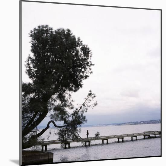 Woman Stands on Dock Next to Pine Tree, Lake Washington, Seattle, Washington State, Usa-Aaron McCoy-Mounted Photographic Print