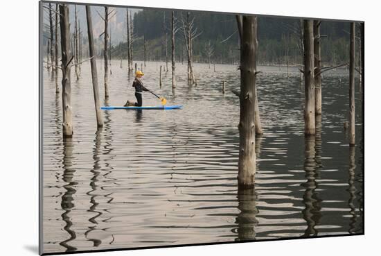 Woman Stands Up Paddle Boarding Through Trees Of Earthquake Lake In SW Montana, Near W Yellowstone-Austin Cronnelly-Mounted Photographic Print