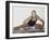 Woman Stretching Before Exercise-null-Framed Photographic Print