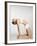 Woman stretching in camel pose-Mario Castello-Framed Photographic Print