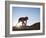 Woman Stretching, Monument Valley Navajo Tribal Park, Arizona Utah Border-Angelo Cavalli-Framed Photographic Print