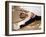 Woman Stretching-null-Framed Photographic Print