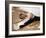 Woman Stretching-null-Framed Photographic Print