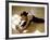 Woman Stretching-null-Framed Photographic Print