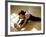 Woman Stretching-null-Framed Photographic Print