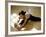 Woman Stretching-null-Framed Photographic Print