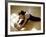 Woman Stretching-null-Framed Photographic Print