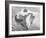 Woman Sunbathing at the Beach-Peter Stackpole-Framed Photographic Print