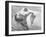 Woman Sunbathing at the Beach-Peter Stackpole-Framed Photographic Print