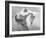 Woman Sunbathing at the Beach-Peter Stackpole-Framed Photographic Print