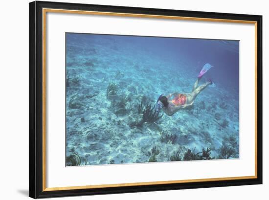 Woman Swimming in the Ocean-DLILLC-Framed Photographic Print