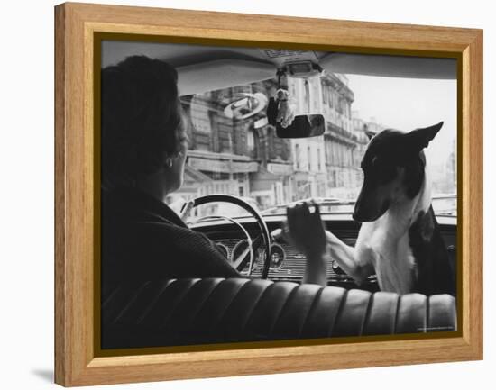 Woman Taxi Driver Sharing Front Seat with Pet Dog-Alfred Eisenstaedt-Framed Premier Image Canvas