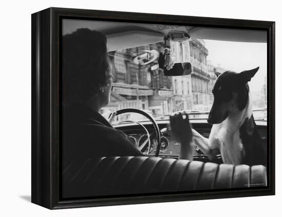 Woman Taxi Driver Sharing Front Seat with Pet Dog-Alfred Eisenstaedt-Framed Premier Image Canvas