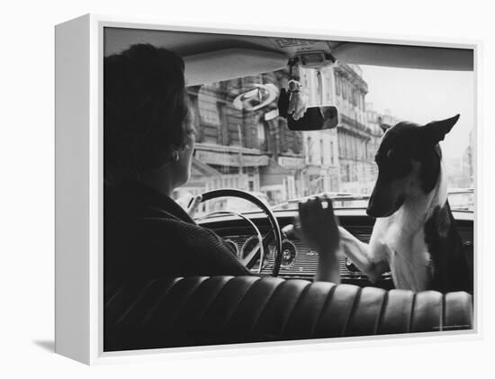 Woman Taxi Driver Sharing Front Seat with Pet Dog-Alfred Eisenstaedt-Framed Premier Image Canvas