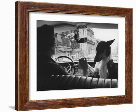 Woman Taxi Driver Sharing Front Seat with Pet Dog-Alfred Eisenstaedt-Framed Photographic Print