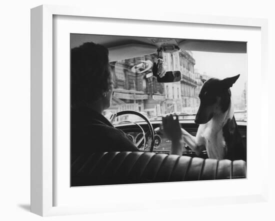 Woman Taxi Driver Sharing Front Seat with Pet Dog-Alfred Eisenstaedt-Framed Photographic Print