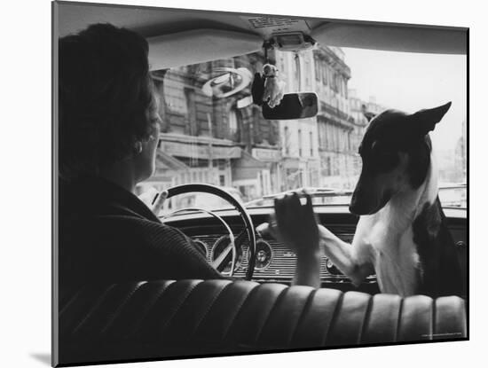 Woman Taxi Driver Sharing Front Seat with Pet Dog-Alfred Eisenstaedt-Mounted Photographic Print