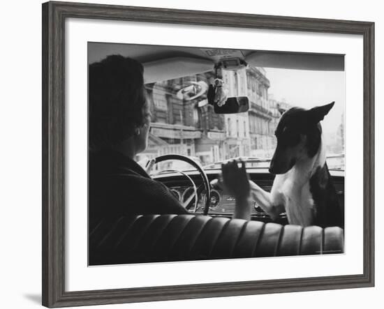 Woman Taxi Driver Sharing Front Seat with Pet Dog-Alfred Eisenstaedt-Framed Photographic Print