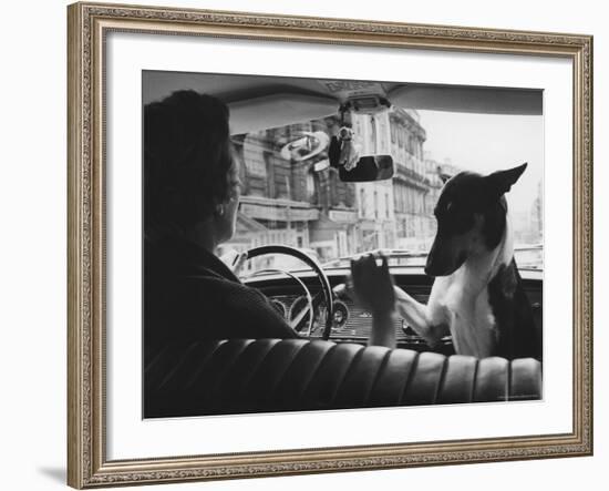 Woman Taxi Driver Sharing Front Seat with Pet Dog-Alfred Eisenstaedt-Framed Photographic Print