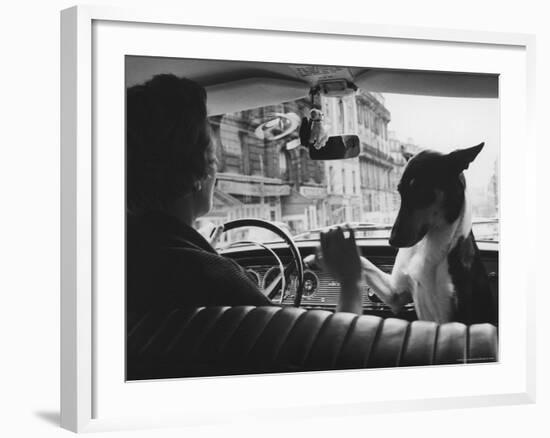 Woman Taxi Driver Sharing Front Seat with Pet Dog-Alfred Eisenstaedt-Framed Photographic Print