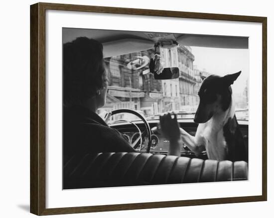 Woman Taxi Driver Sharing Front Seat with Pet Dog-Alfred Eisenstaedt-Framed Photographic Print