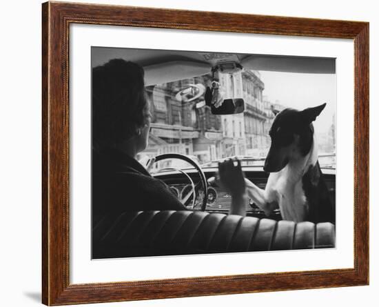 Woman Taxi Driver Sharing Front Seat with Pet Dog-Alfred Eisenstaedt-Framed Photographic Print