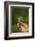 Woman Tea Picker Holding Tea Leaves, Goomtee Tea Estate, Kurseong, West Bengal, India-Jane Sweeney-Framed Photographic Print