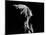 Woman under Shower Smoothing Water over Skin-Gjon Mili-Mounted Photographic Print