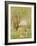 Woman Under the Willows-Claude Monet-Framed Art Print