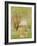 Woman Under the Willows-Claude Monet-Framed Art Print