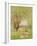 Woman Under the Willows-Claude Monet-Framed Art Print