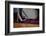 Woman Vacuuming Rug-William P. Gottlieb-Framed Photographic Print