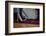 Woman Vacuuming Rug-William P. Gottlieb-Framed Photographic Print