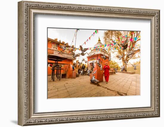 Woman walking and praying with pigeons at the hilltop temple, Bhaktapur, Kathmandu Valley, Nepal, A-Laura Grier-Framed Photographic Print