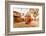 Woman walking and praying with pigeons at the hilltop temple, Bhaktapur, Kathmandu Valley, Nepal, A-Laura Grier-Framed Photographic Print