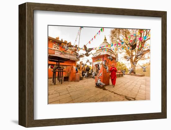 Woman walking and praying with pigeons at the hilltop temple, Bhaktapur, Kathmandu Valley, Nepal, A-Laura Grier-Framed Photographic Print