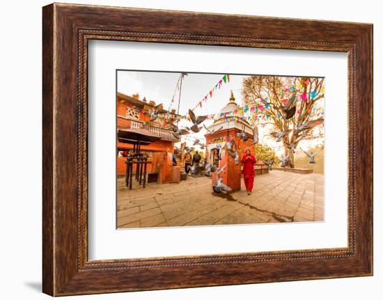 Woman walking and praying with pigeons at the hilltop temple, Bhaktapur, Kathmandu Valley, Nepal, A-Laura Grier-Framed Photographic Print