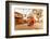 Woman walking and praying with pigeons at the hilltop temple, Bhaktapur, Kathmandu Valley, Nepal, A-Laura Grier-Framed Photographic Print