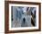 Woman Walking Down an Alley, Mykonos Town, Mykonos, Greece-Doug Pearson-Framed Photographic Print