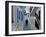 Woman Walking Down an Alley, Mykonos Town, Mykonos, Greece-Doug Pearson-Framed Photographic Print