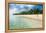 Woman Walking on a Palm Fringed White Sand Beach in Ha'Apai Islands, Tonga, South Pacific-Michael Runkel-Framed Premier Image Canvas