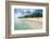 Woman Walking on a Palm Fringed White Sand Beach in Ha'Apai Islands, Tonga, South Pacific-Michael Runkel-Framed Photographic Print