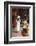 Woman Wearing Ao Dai Dress at Ha Chuong Hoi Quan Pagoda, Cholon, Ho Chi Minh City, Vietnam-Ian Trower-Framed Photographic Print