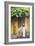 Woman Wearing Ao Dai Dress with Bicycle, Hoi An, Quang Ham, Vietnam-Ian Trower-Framed Photographic Print