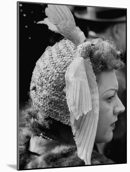 Woman Wearing Bird Decoration in Hair at Dwight D. Eisenhower's Inauguration-Cornell Capa-Mounted Photographic Print
