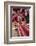 Woman Weaving at Backstrap Loom, Weaving Cooperative, Chinchero, Peru-Merrill Images-Framed Photographic Print