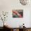 Woman Weaving, Traditional Backstrap Loom, Cuzco, Peru-Merrill Images-Photographic Print displayed on a wall