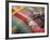 Woman Weaving, Traditional Backstrap Loom, Cuzco, Peru-Merrill Images-Framed Photographic Print