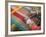 Woman Weaving, Traditional Backstrap Loom, Cuzco, Peru-Merrill Images-Framed Photographic Print