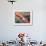 Woman Weaving, Traditional Backstrap Loom, Cuzco, Peru-Merrill Images-Framed Photographic Print displayed on a wall